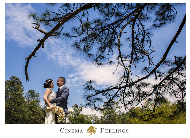 Kenny & Thalía | Una boda entre los árboles de Mazamitla